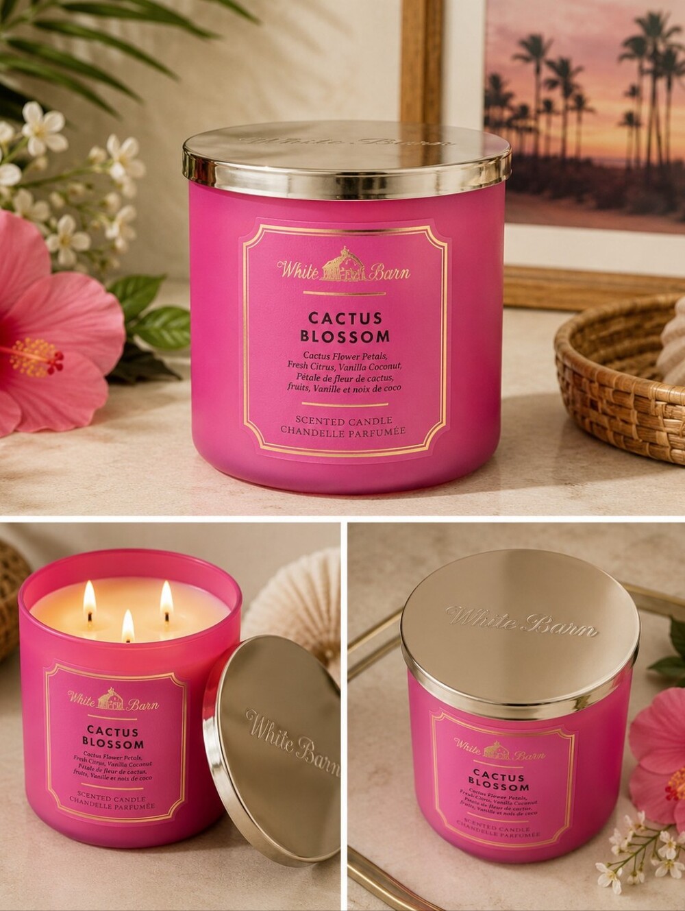 White Barn Pink Cactus Blossom 3-Wick Scented Candle